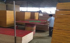 林世界建筑模板質(zhì)量過硬，客戶付款才爽快