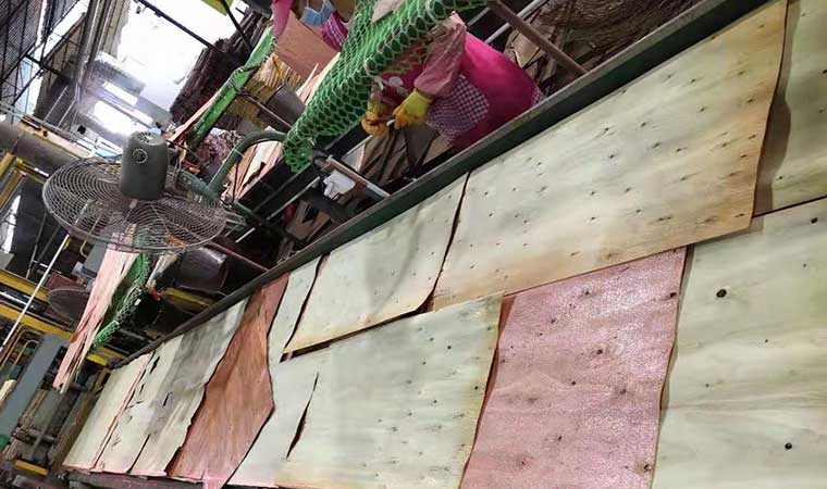 貴港建筑模板木材生產基地-林世界木業板材生產基地